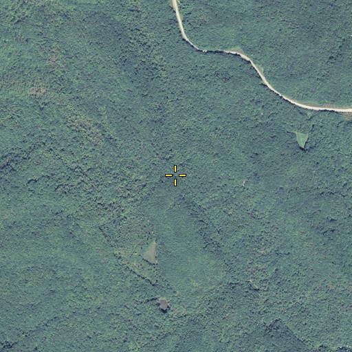 Aerial/Satellite Image of Firescald Branch, GA