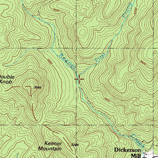 Topographic Map of First Prong, GA