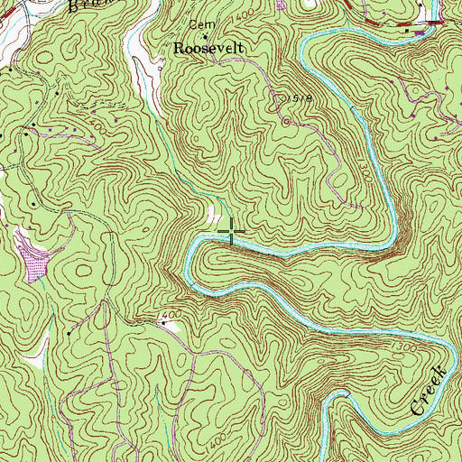 Topographic Map of Flat Branch, GA