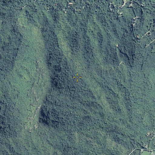 Aerial/Satellite Image of Flat Gap, GA