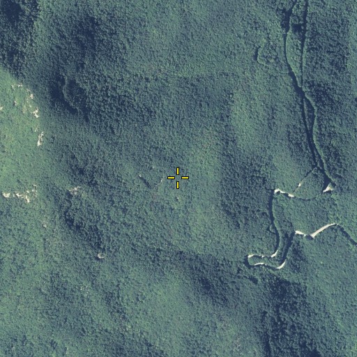 Aerial/Satellite Image of Flatrock Gap, GA