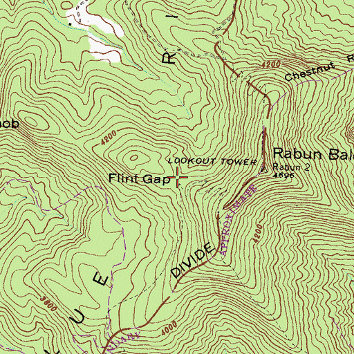 Topographic Map of Flint Gap, GA