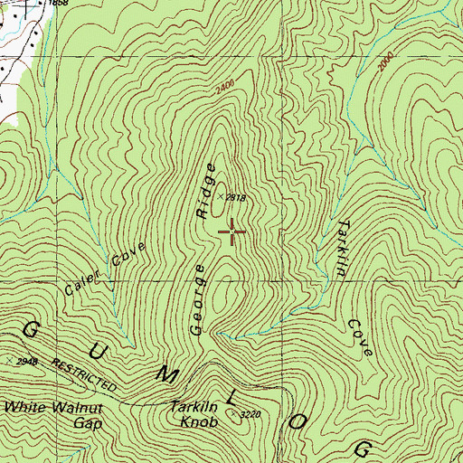 Topographic Map of George Ridge, GA