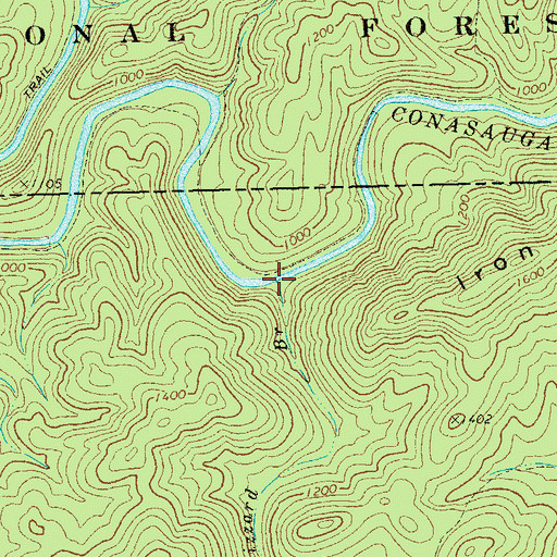 Topographic Map of Gizzard Branch, GA