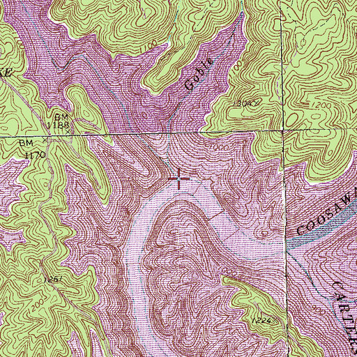 Topographic Map of Goble Branch, GA