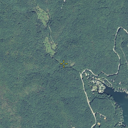 Aerial/Satellite Image of Gomer Branch, GA