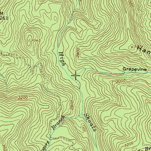 Topographic Map of Grapevine Cove, GA