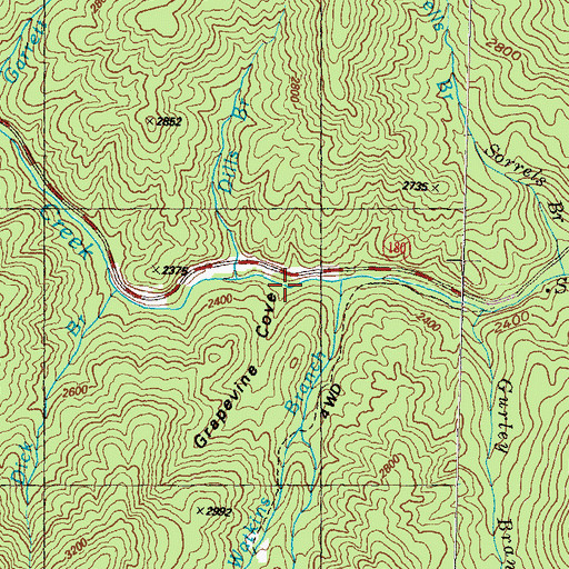 Topographic Map of Grapevine Cove, GA