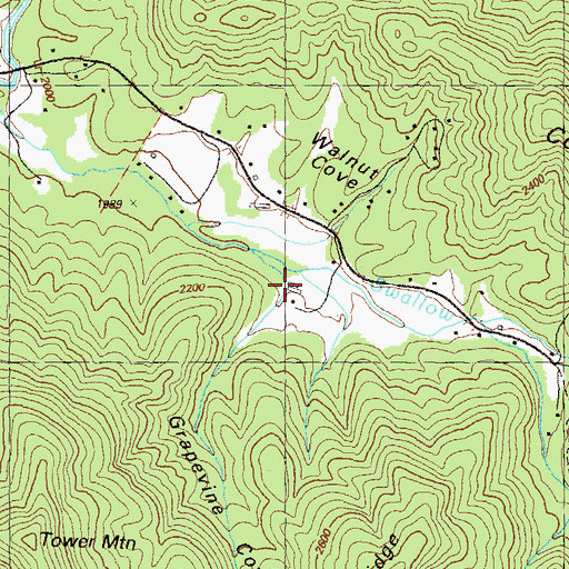 Topographic Map of Grapevine Cove, GA