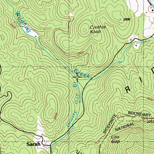 Topographic Map of Grassy Gap Branch, GA