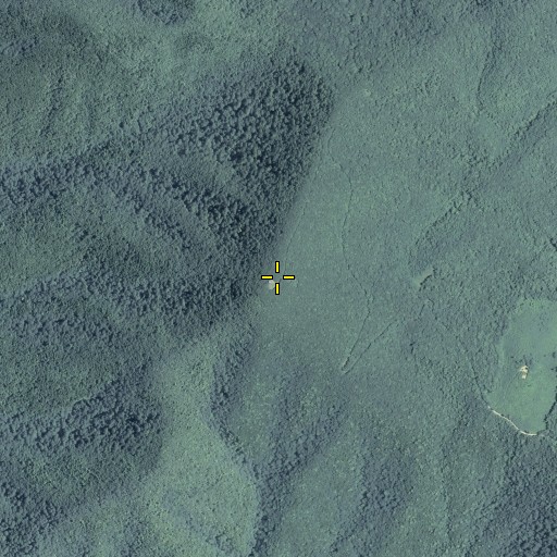 Aerial/Satellite Image of Grassy Mountain, GA