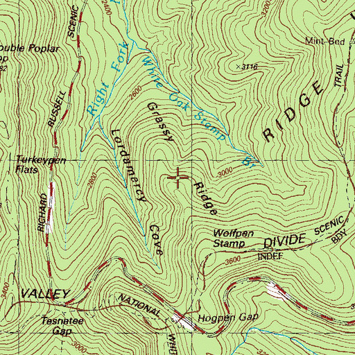 Topographic Map of Grassy Ridge, GA