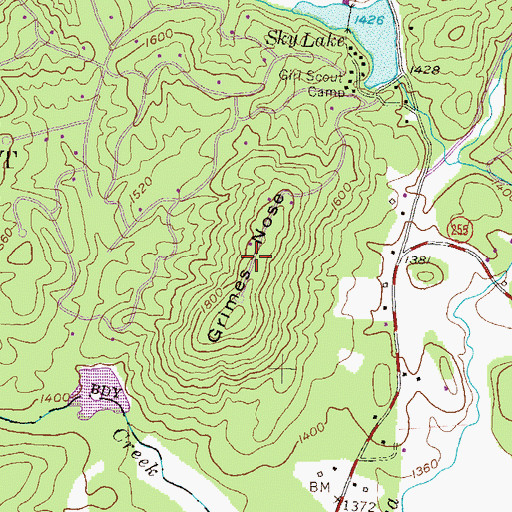 Topographic Map of Grimes Nose, GA