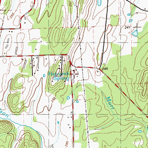 Topographic Map of Halcomb Spring, GA