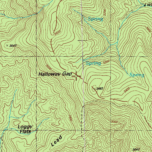 Topographic Map of Halloway Gap, GA