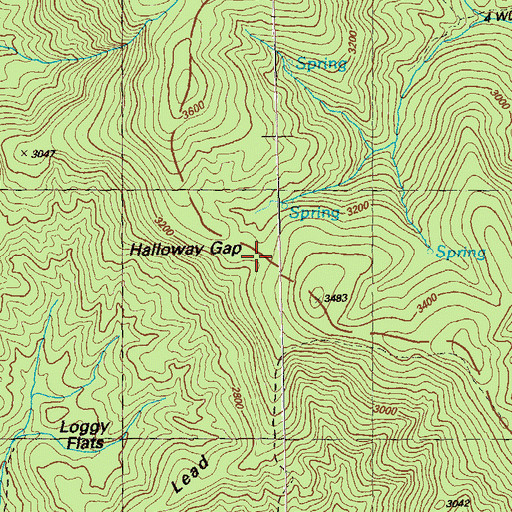 Topographic Map of Halloway Gap, GA