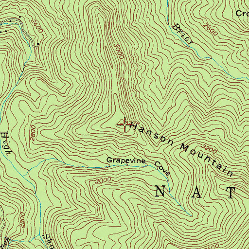Topographic Map of Hanson Mountain, GA