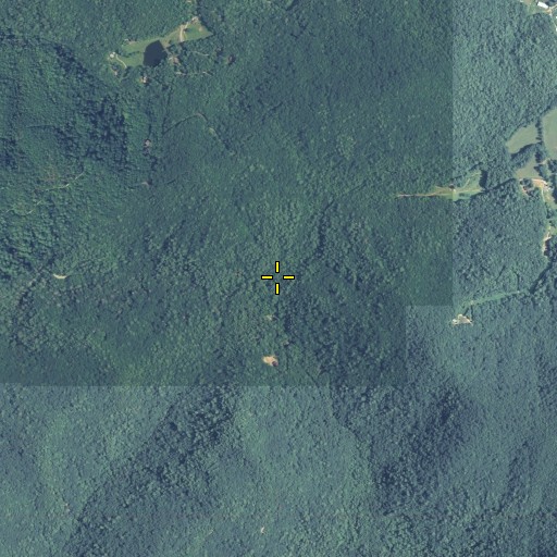 Aerial/Satellite Image of Hatchet Creek, GA
