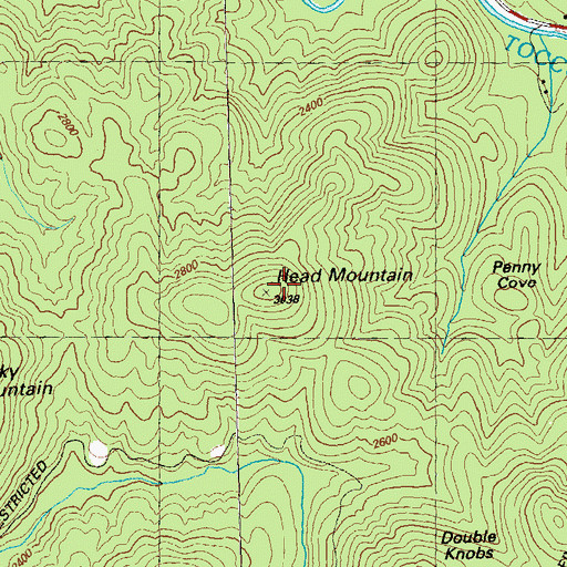 Topographic Map of Head Mountain, GA