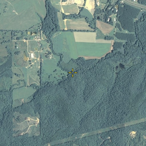 Aerial/Satellite Image of Heath Creek, GA