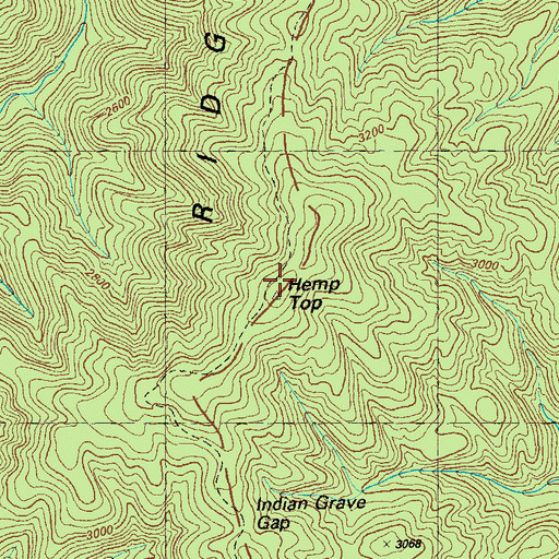 Topographic Map of Hemp Top, GA