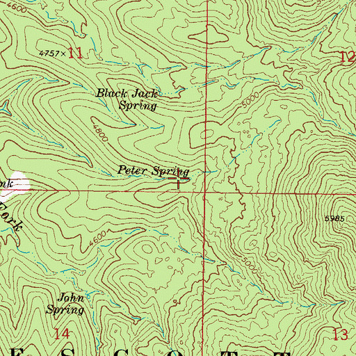 Topographic Map of Peter Spring, AZ