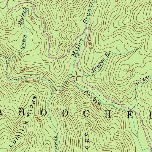Topographic Map of Hogpen Branch, GA