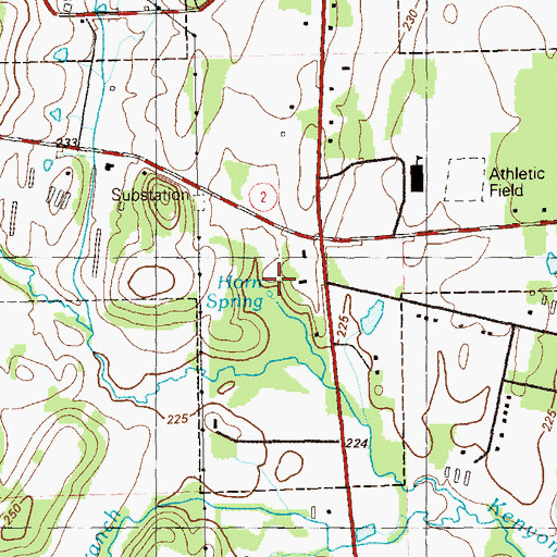 Topographic Map of Horn Spring, GA