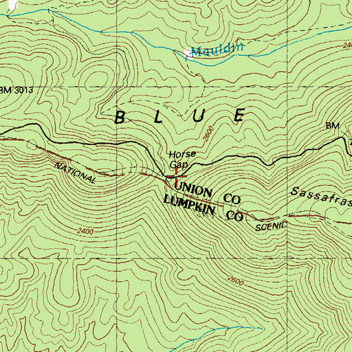 Topographic Map of Horse Gap, GA