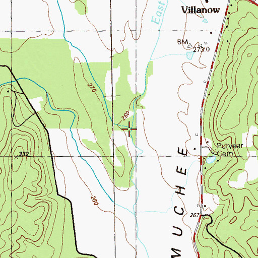 Topographic Map of Houston Branch, GA