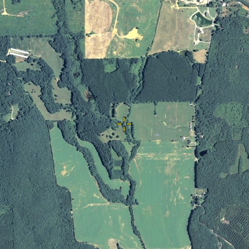 Aerial/Satellite Image of Houston Branch, GA