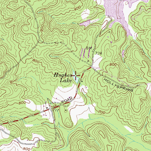 Topographic Map of Hughes Lake, GA