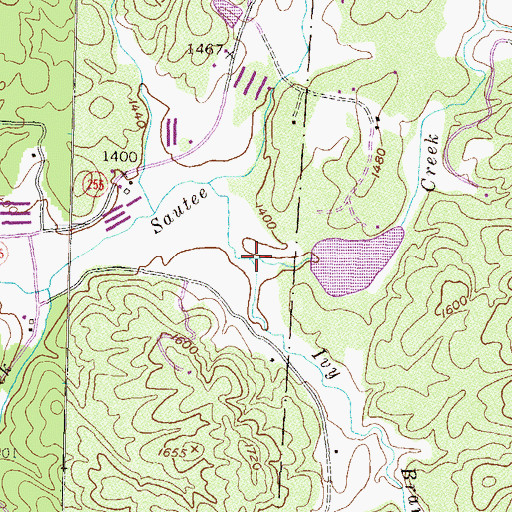 Topographic Map of Ivy Branch, GA