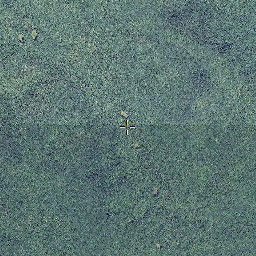 Aerial/Satellite Image of Jake Branch, GA