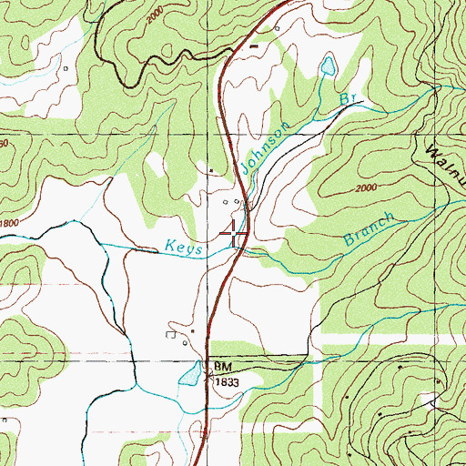 Topographic Map of Johnson Branch, GA