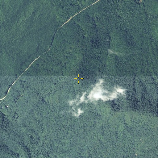 Aerial/Satellite Image of Jonas Mountain, GA