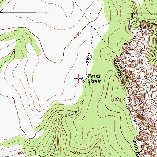 Topographic Map of Petes Tank, AZ