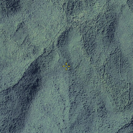 Aerial/Satellite Image of Jones Gap, GA