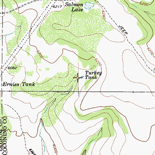 Topographic Map of Petes Tank, AZ