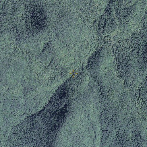 Aerial/Satellite Image of Justus Gap, GA