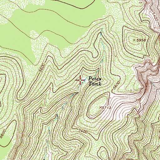 Topographic Map of Petes Tank, AZ