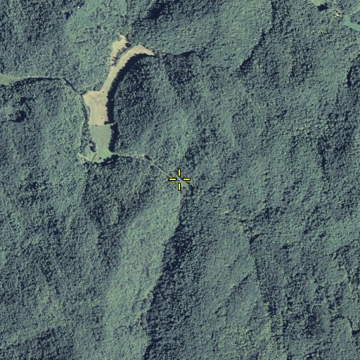 Aerial/Satellite Image of Knight Branch, GA