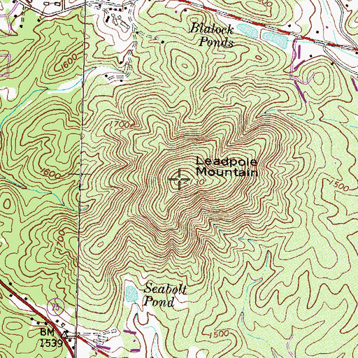 Topographic Map of Leadpole Mountain, GA