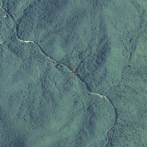 Aerial/Satellite Image of Lee Branch, GA