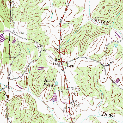 Topographic Map of Leo, GA