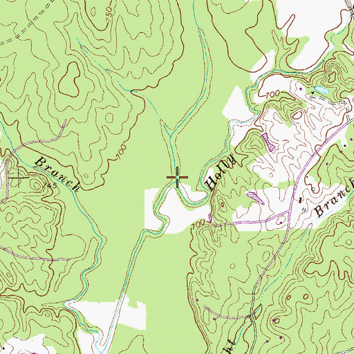 Topographic Map of Lick Branch, GA
