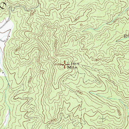 Topographic Map of Lion Mountain, GA