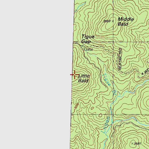 Topographic Map of Little Bald, GA