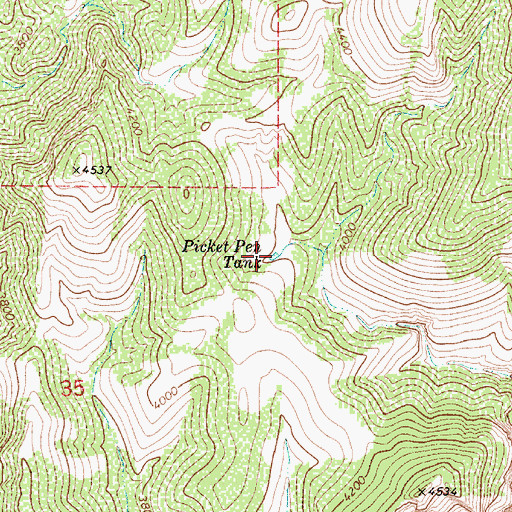Topographic Map of Picket Pen Tank, AZ
