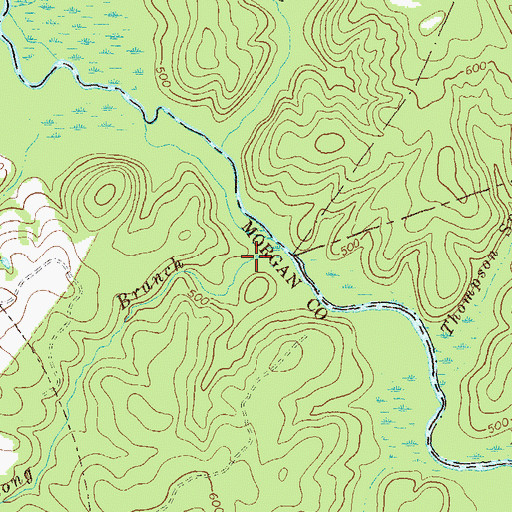 Topographic Map of Long Branch, GA